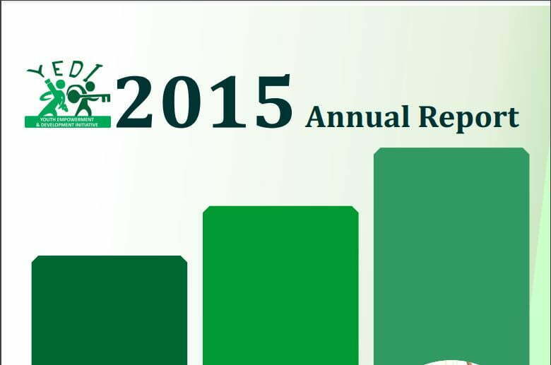Yedi 2015 annual report